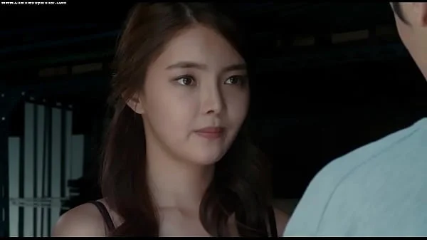 A Delicious Flight (2015) (Myanmar subtitile)